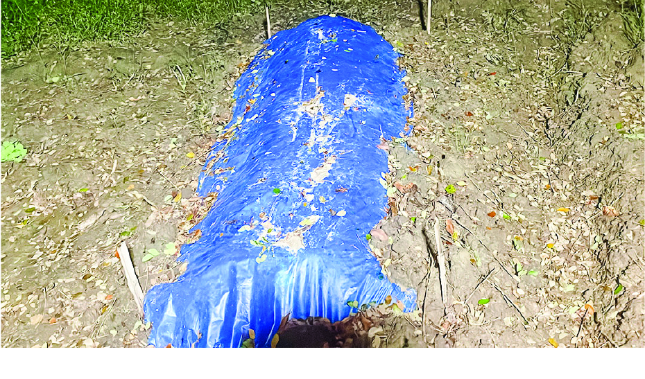Image of মো: সাকিব আনজুম 